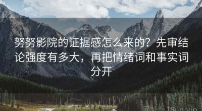 努努影院的证据感怎么来的？先审结论强度有多大，再把情绪词和事实词分开