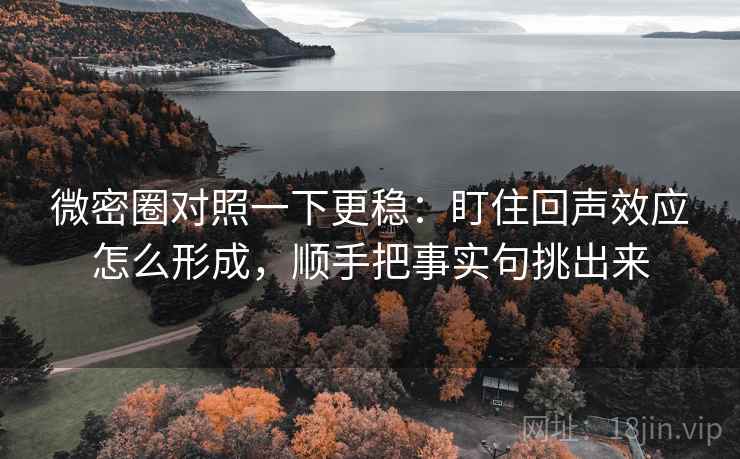 微密圈对照一下更稳：盯住回声效应怎么形成，顺手把事实句挑出来